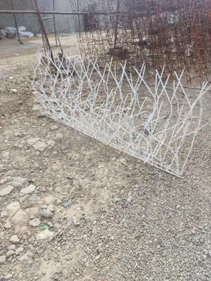 حفاظ شاخ گوزنی در شهریار