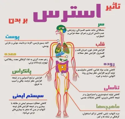 دکتر حسینعلی محمدی