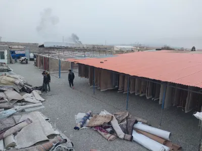 قالیشویی پرند