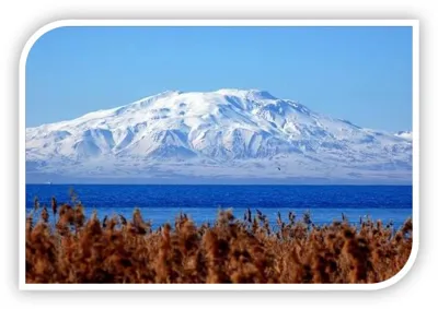 تور مسافرتی گوهر گشت