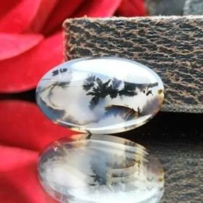 خرید سنگ عقیق درختی