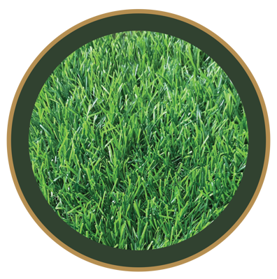 چمن مصنوعی | Grass