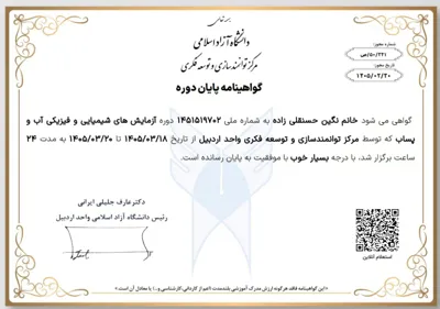 نگین حسنقلی زاده