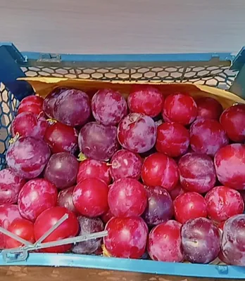 خرید میوه آنلاین اصفهان&nbsp;