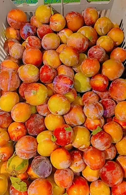 خرید میوه آنلاین اصفهان&nbsp;