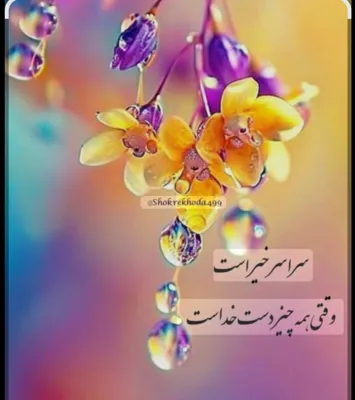 البوعلی