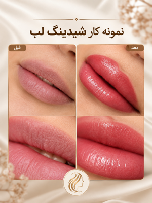 فضای دنج