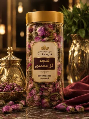 غنچه گل محمدی