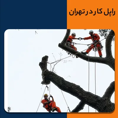 کار در ارتفاع در تهران