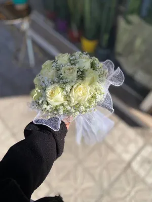 پخش عمده گل اصفهان