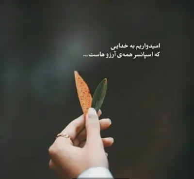 راضیه غفاری