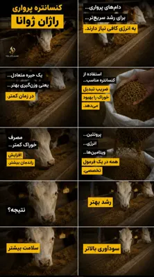 کیفیت&nbsp;