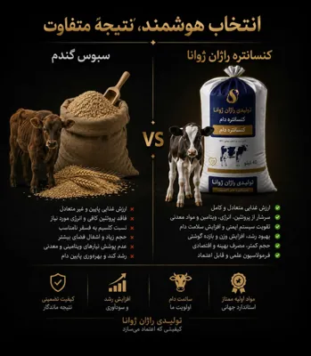 انتخاب هوشمندانه