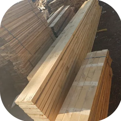 پایداری بالادربرابرتغییرات محیطی
