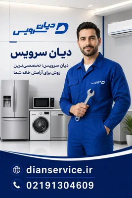 دیان سرویس