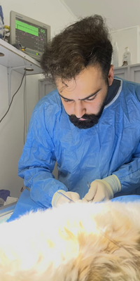 کلینیک دامپزشکی در ساری