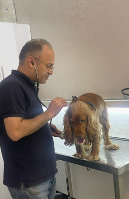 کلینیک دامپزشکی در ساری
