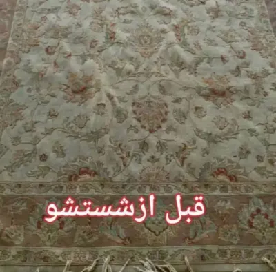 قالیشویی صدف