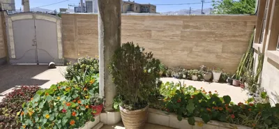 حیاط مدرسه البرز