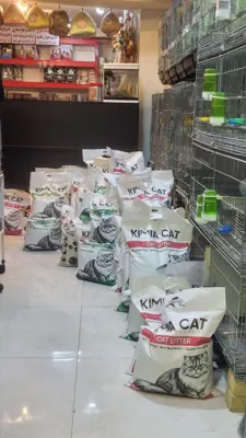 خدمات ناخن و نوک گیری پرنده کرج