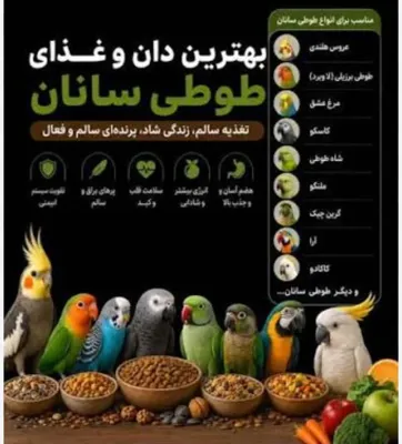 خدمات ناخن و نوک گیری پرنده کرج