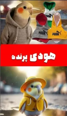 دارو و مکمل پرنده کرج