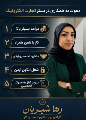 کارآفرین و مشاور کسب و کار