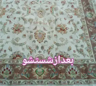 قالیشویی صدف