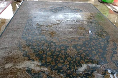 قالیشویی صدف