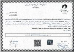 هستی سادات علوی بختیاروند