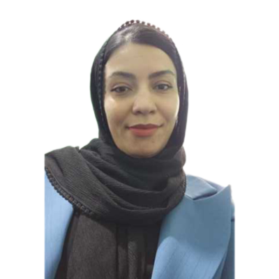 آموزش سئو وردپرس