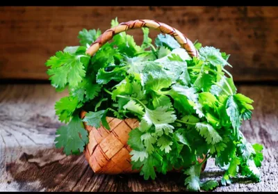 دهکده سبزیجات در کیاسر&nbsp;