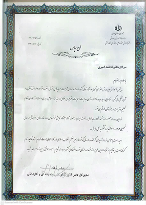 فاطمه امیری