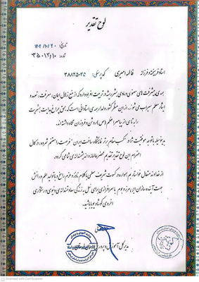 فاطمه امیری