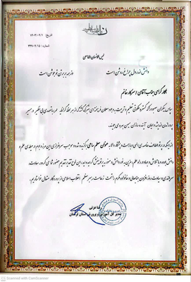 فاطمه امیری