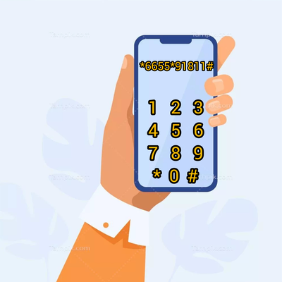 91811#*6655*