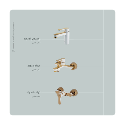 امیر
پورسیف الدینی