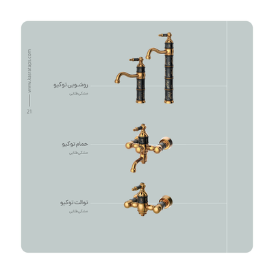 امیر
پورسیف الدینی