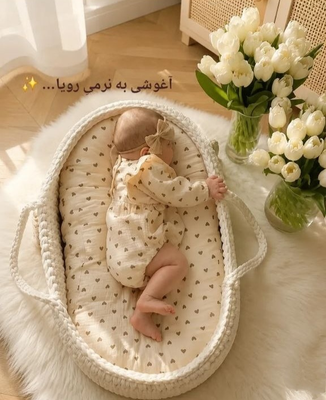 سبدنوزاد.